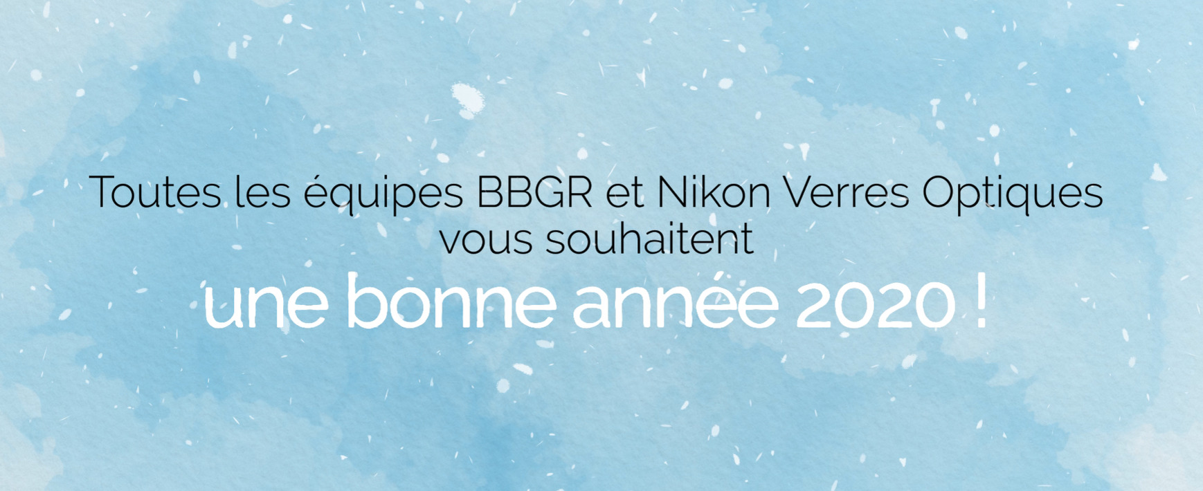 Toutes les équipes BBGR et Nikon Verres Optiques vous souhaitent une très belle année 2020 !